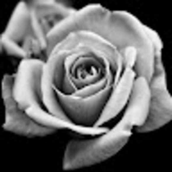 Meet your Posher, DG - Picture 1 of 1